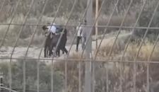 مستوطنون يجبرون عائلة فلسطينية على نبش قبر مسن ونقل جثمانه جنوبي جنين