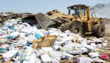 مباحث تموين خانيونس تُتلف 20 طنًا من الدجاج المجمد الفاسد