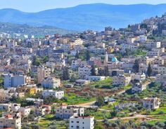 رفع العلم الفلسطيني على صرح شهداء المؤسسة الأمنية