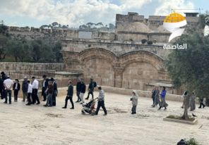 143 مستوطنًا يقتحمون الأقصى ويؤدون طقوسًا تلمودية بحماية الاحتلال