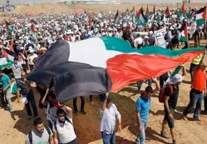 القوى الوطنية والإسلامية تدعو لإنجاح الحوار الوطني الشامل في مصر