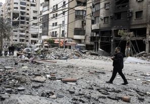 مركز حقوقي: الاحتلال يوظّف القوارض والأوبئة سلاحاً ممنهجاً ضد المدنيين في غزة