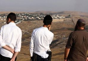 مستوطنون يعتدون على مزارعين ويستولون على مركبة شمال أريحا