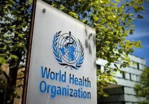 الصحة العالمية: تسجيل أكثر من 17 ألف إصابة في قطاع غزة بسبب القوارض