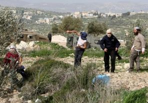 مستوطنون يعتدون على سيدتين في بيرزيت شمال رام الله