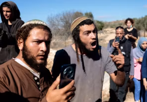 هيئة مقاومة الجدار والاستيطان:21 اعتداء من الاحتلال والمستوطنين تطال موسم الزيتون في عدة محافظات