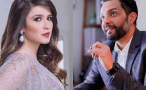 الحكم بسجن وائل عبد العزيز شقيق الفنانة ياسمين