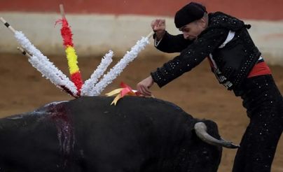 قانون جديد لتعزيز حقوق الحيوان بإسبانيا